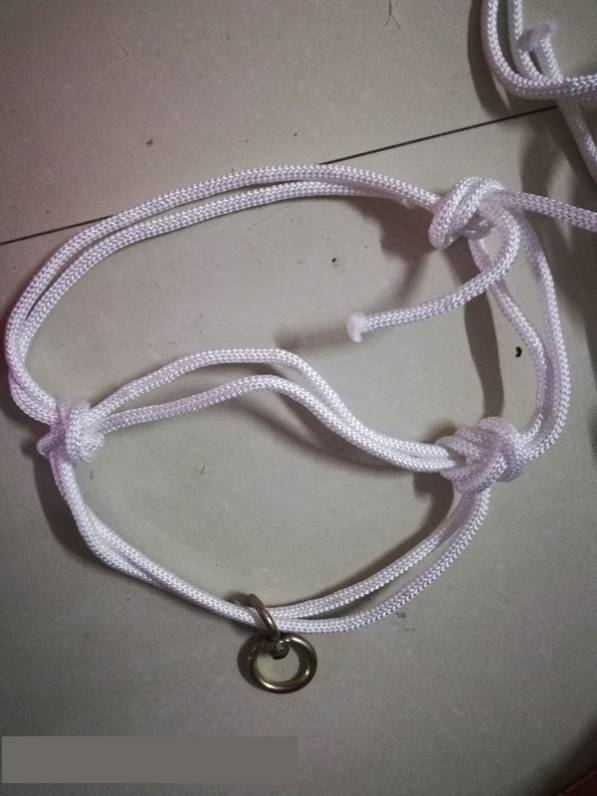 10mm Weasel Cow Cow Head + Great Ring - R56